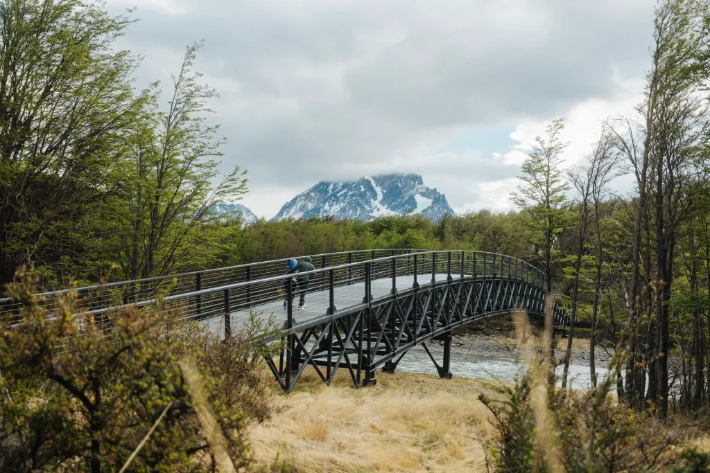 Puente Lago Grey